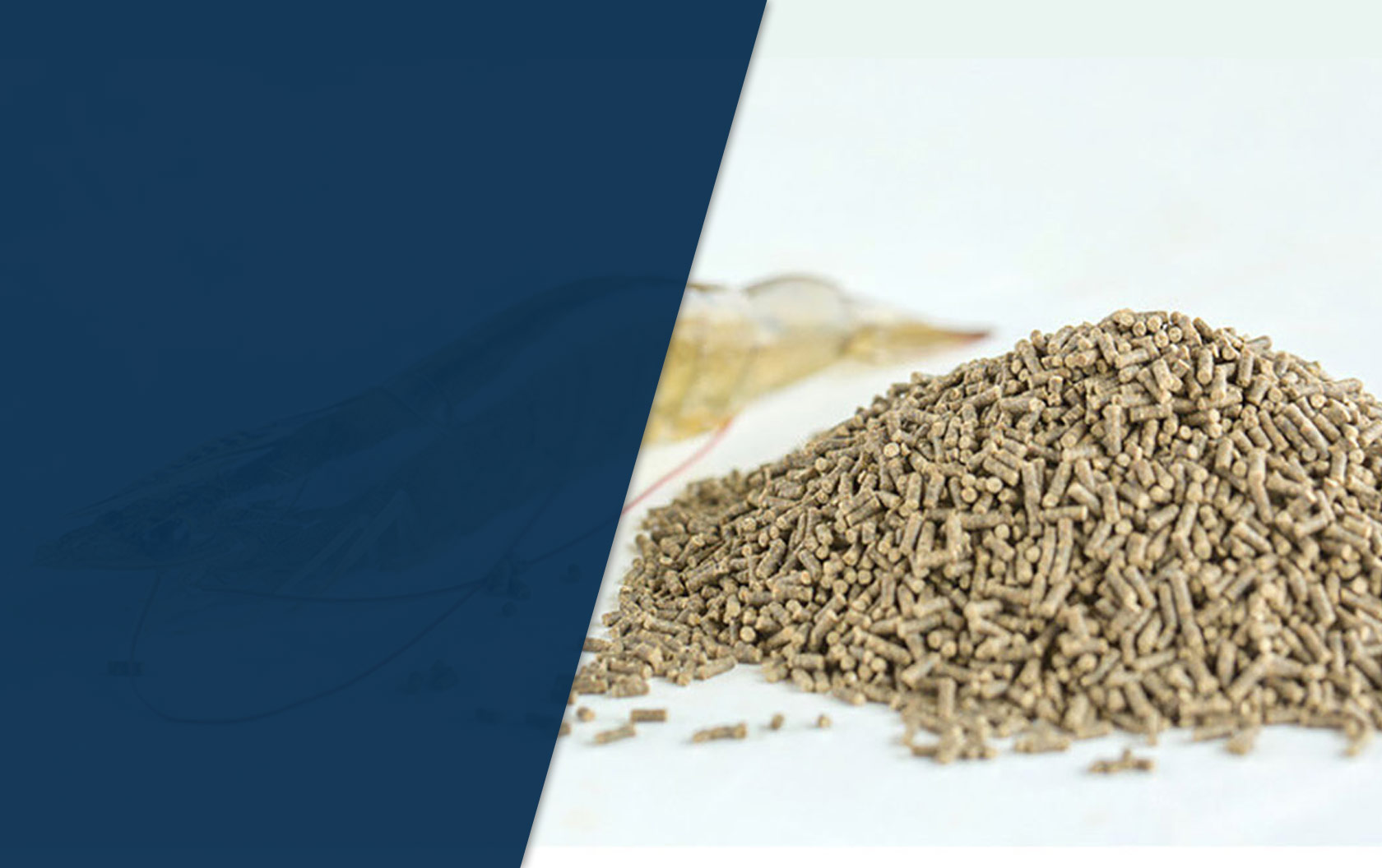 banner_krmivo_krevety.jpg