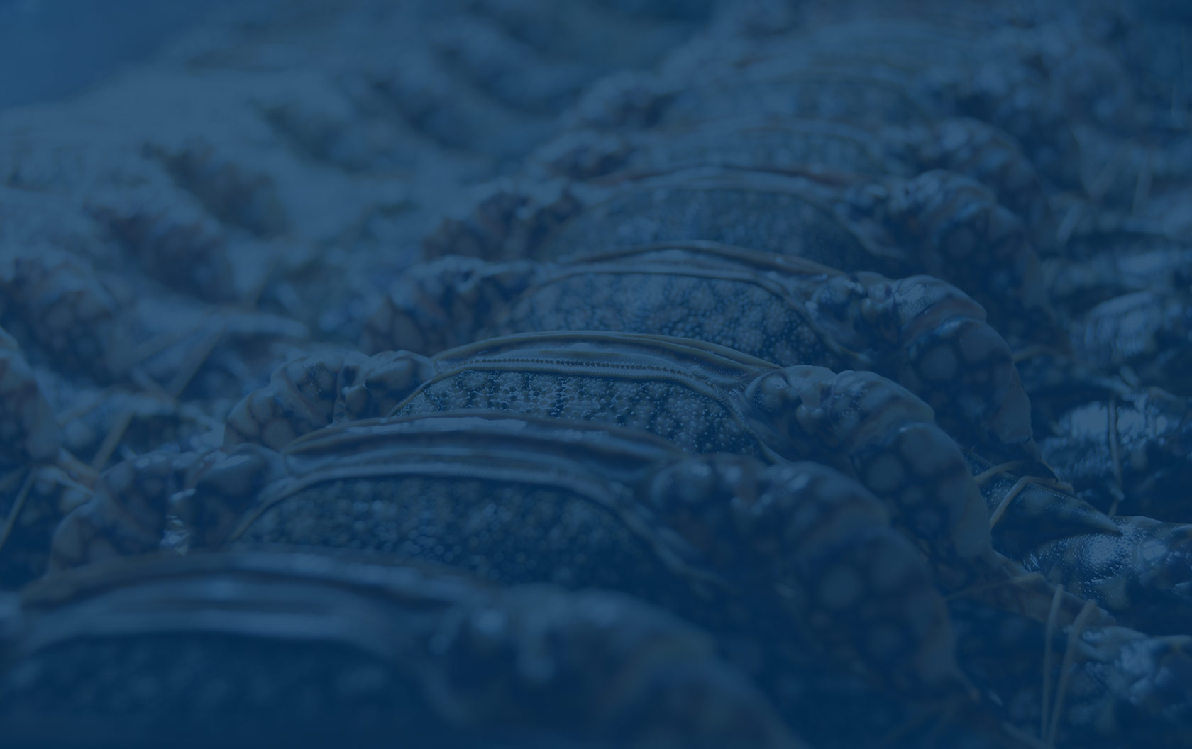 banner_skladovani.jpg